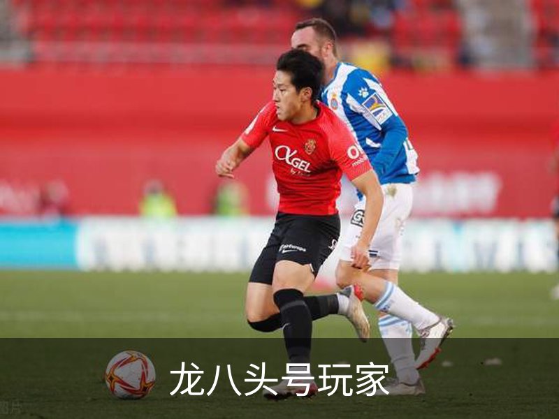 龙八头号玩家概况